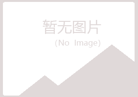 修水县夜山能源有限公司